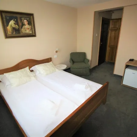 Pansion Stari Grad Szarajevó