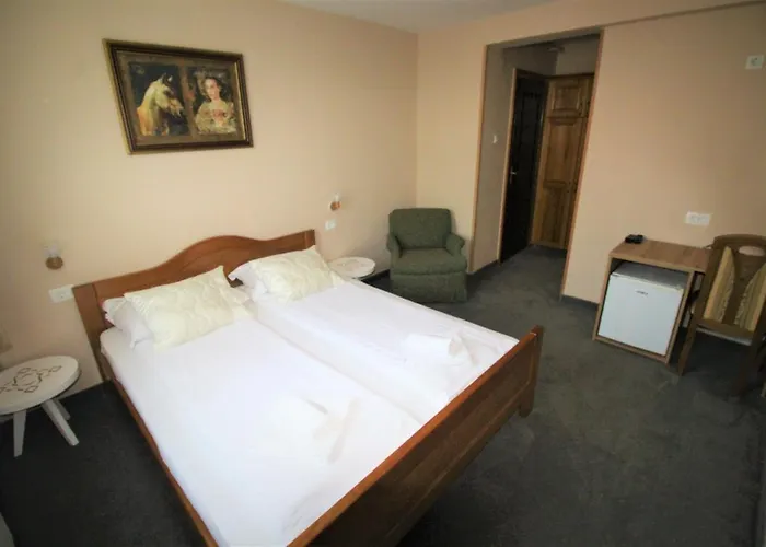 Pansion Stari Grad Sarajevo